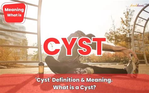 cyst definition meaning    cyst
