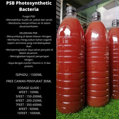 PHOTOSYNTHETIC BACTERIA PSB Shopee Malaysia