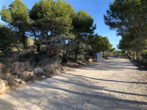 Una aplicació contribuïx a identificar els canvis en la flora