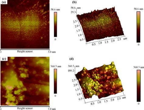 D And D Afm Diagrams Of The Surface Of Steel Fiber A B Unmodified
