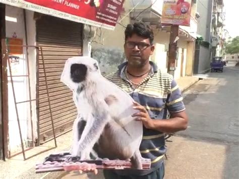 Cutouts Of Langur Are Being Put Outside The Houses People Are Getting