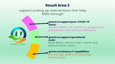 What Is NG CARES 2 NIGERIA COVID 19 ACTION RECOVERY AND ECONOMIC