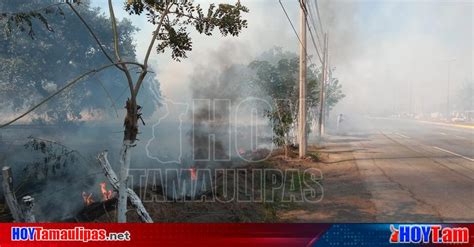 Hoy Tamaulipas Tamaulipas Fuerte Incendio Se Registra En Predio