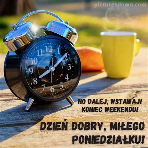 Kartka na miły poniedziałek dzień alarm darmowe picturesdown