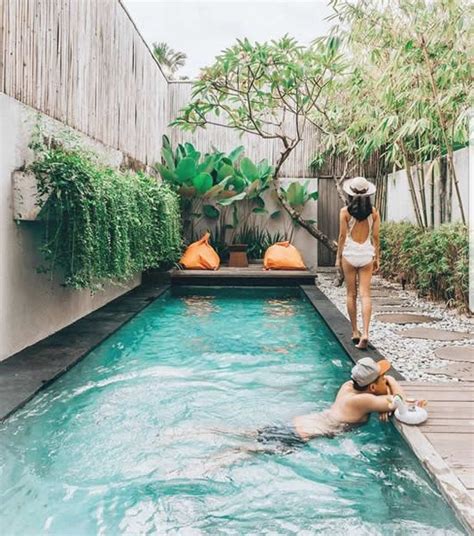 Jardins Planejados Piscina Como Plantar E Cuidar