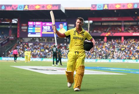 David Warner Entertained The Crowd With His Espncricinfo