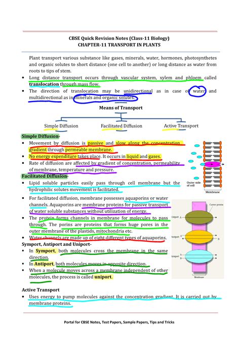 Chapter 11 Transport In Plants CBSE Quick Revision Notes Class 11