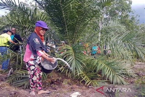 Gapki Tegaskan Berkomitmen Untuk Wujudkan Industri Sawit Berkelanjutan