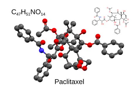 O Paclitaxel É Um Triterpeno Poli Hidroxilado - Fórmula Y Estructura Del Paclitaxel Foto de stock y más banco de ...