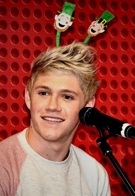 Niall Horan One Direction Hairstyle Etcetera Etcetera