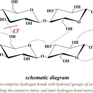 Schematic diagram of the role that chloride ions play | Download ...