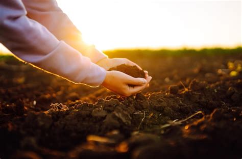 Premium Photo Hand Of Expert Farmer Collect Soil Farmer Is Checking