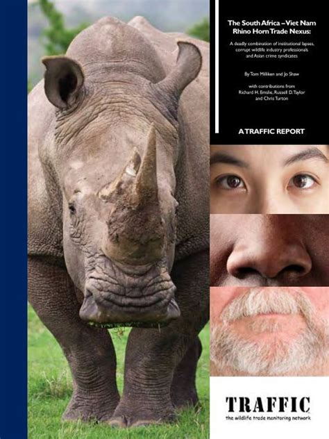 The South Africa Viet Nam Rhino Horn Trade Nexus Pdf Wwf