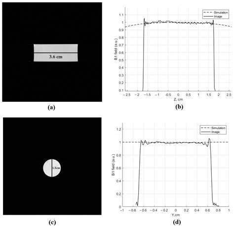 Full Wave Simulation Of A Helmholtz Radiofrequency Coil For Magnetic