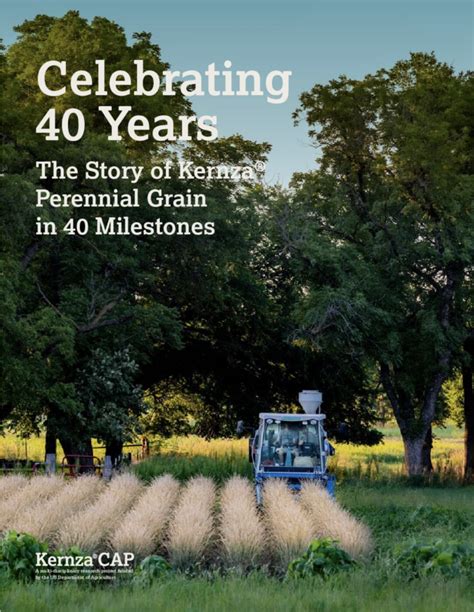 Celebrating 40 Years Kernza® Perennial Grain In 40 Milestones Kernza®