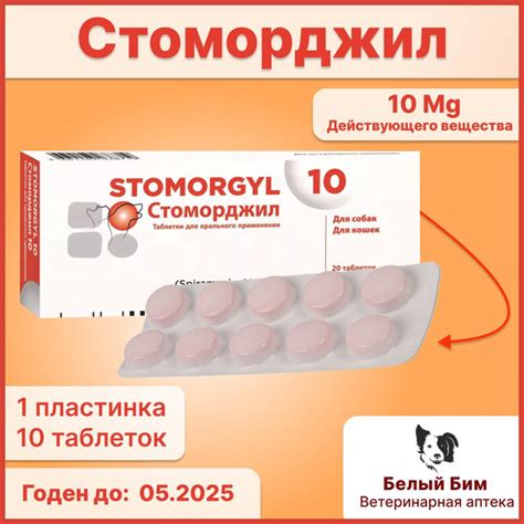 Стоморджил 10 мг 10 таблеток- 1 блистер - купить с доставкой по ...