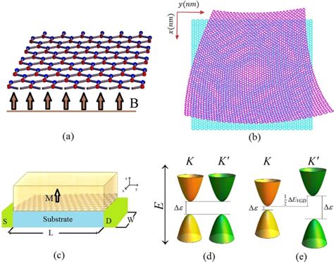 The Role Of The Strain Induced Population Imbalance In Valley