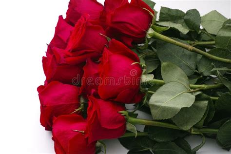 Ramalhete De Rosas Vermelhas E De Flores Brancas Pequenas Foto De Stock