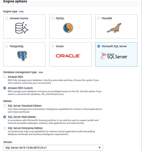 Get Started With Amazon Rds Custom For Sql Server Using An Aws Cloudformation Template Network