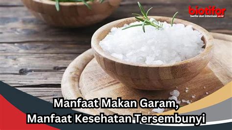 Manfaat Makan Garam Manfaat Kesehatan Tersembunyi Biotifor