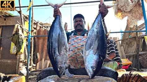 KASIMEDU SPEED SELVAM BIG YELLOW FIN TUNA FISH CUTTING IN