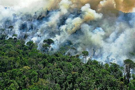 Alerta De Incendios En El Amazonas Un Año Después De Los últimos Fuegos