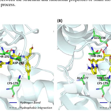 A Akt Crystal Complex Structure With The Cocrystallized Ligand Xz