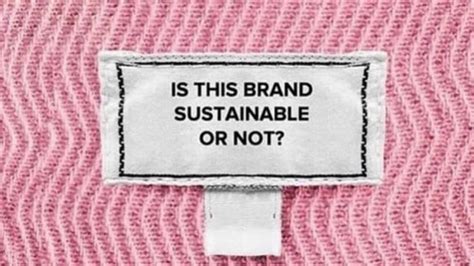 How To Avoid Greenwashing Spot Lying Brands Attitude Organic