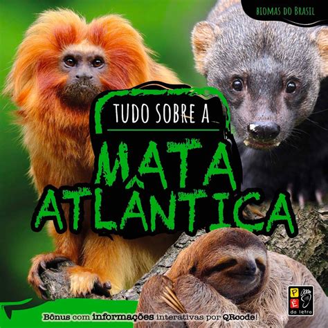 Tudo Sobre O Bioma Mata Atlantica - 9
