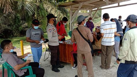 Pt Palm Lampung Persada Bersama Puskesmas Bumi Agung Sukses Vaksinasi