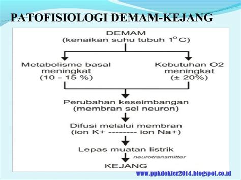 KONSENSUS KEJANG DEMAM PDF