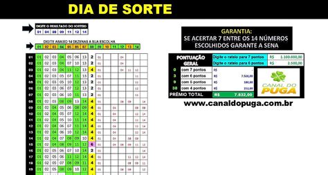 Planilha Dia De Sorte Esquema 14 Dezenas Fechando 100 Sena