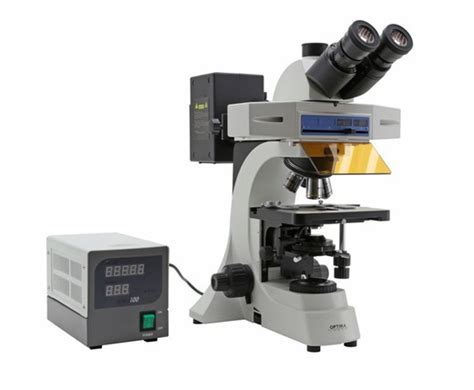 Microscopio Optika B 500 1000x Trinocular — Raig