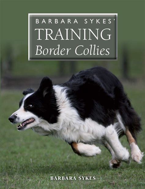 14 Books Every Border Collie Dog Owner Should Read The Dogman