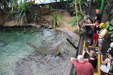 Cairns Zoom and Wildlife Dome - infokids.com.au