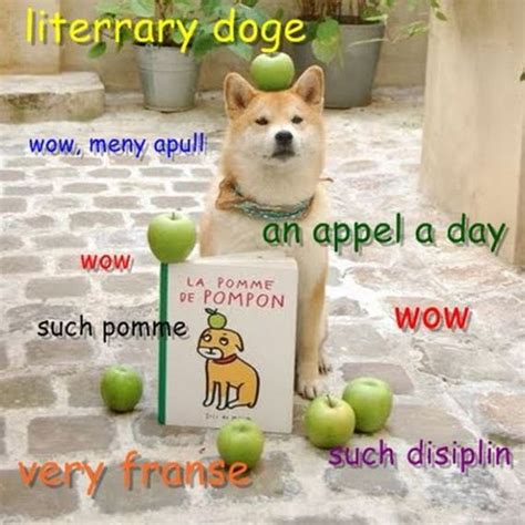 The Best Of: Doge - Barnorama