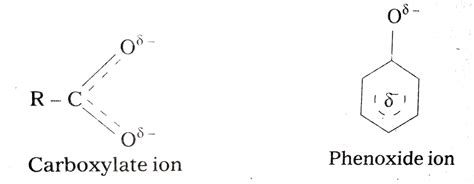 telugu  phenoxide ion   number  resonating structur