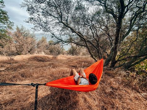 Indigenous Origin Of Hammocks