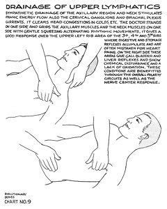 Polarity Therapy Volume 2 Book 6 Chart 09 Polarity Therapy Body