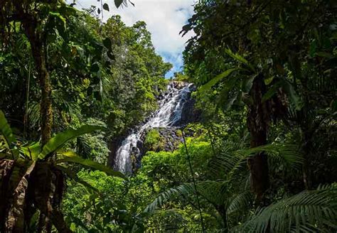 10 of the Best Cairns Tablelands Waterfalls