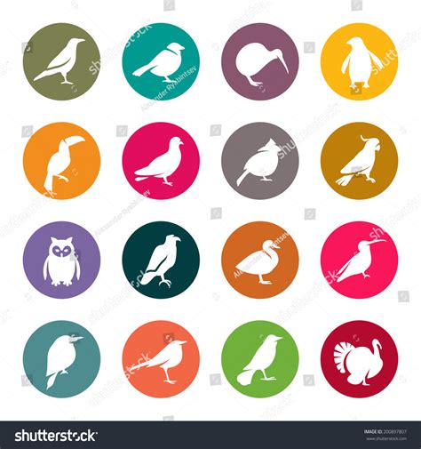 Birds Icon Set Stock Vector Illustration 200897807 Shutterstock