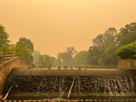 Landscaping In Poor Air Quality