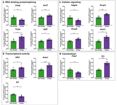 RT QPCR Validation Of RNA Seq Results From An Independent Cohort Of