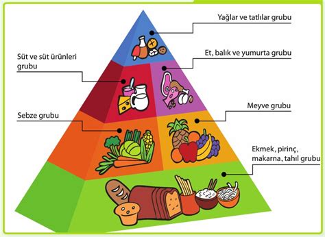 4 Sınıf Besinler ve Özellikleri Konu Anlatımı Özeti Çalışma Kağıdı