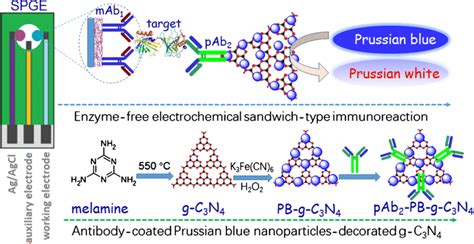 Schematic Illustration Of The Electrochemical Immunoassay Toward