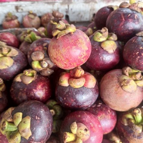 Jual Buah Manggis Fresh Shopee Indonesia