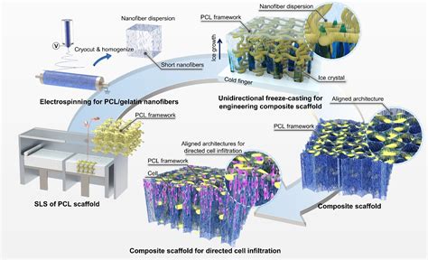 Embedding Aligned Nanofibrous Architectures Within D Printed