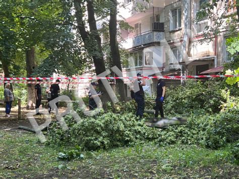 Tragic O fată de 12 ani găsită fără suflare după ce un copac a căzut