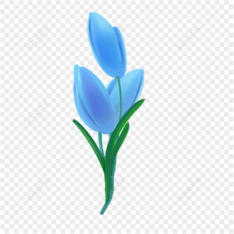 Blue Tulip Clipart