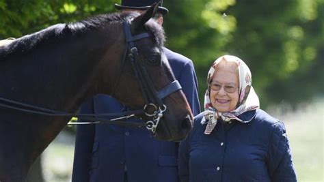 Palast veröffentlicht neues Foto vom Lieblingspferd der Queen kurier at